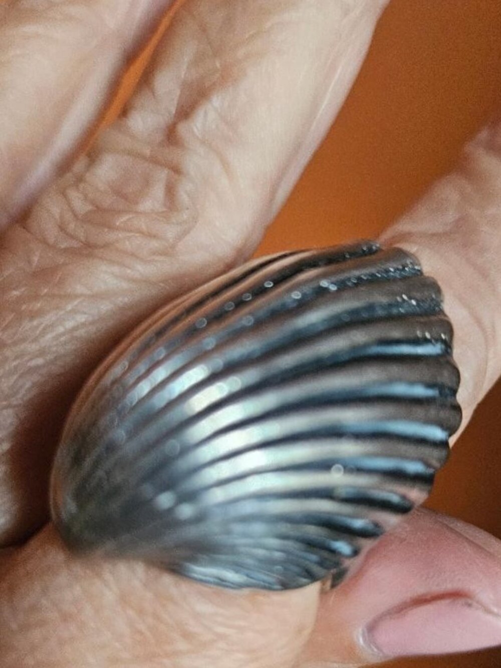 Statement Shell Silver Ring - Picture 7 of 11